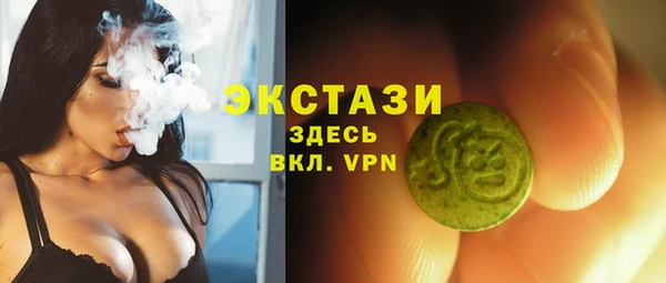 spice Гусев