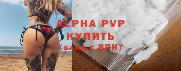 СК Дмитровск