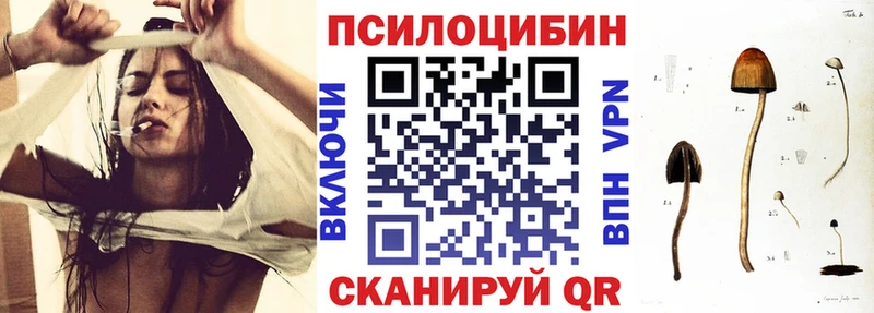 Купить  Кореновск  Галлюциногенные грибы мицелий 